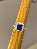 RCB0018-1-13